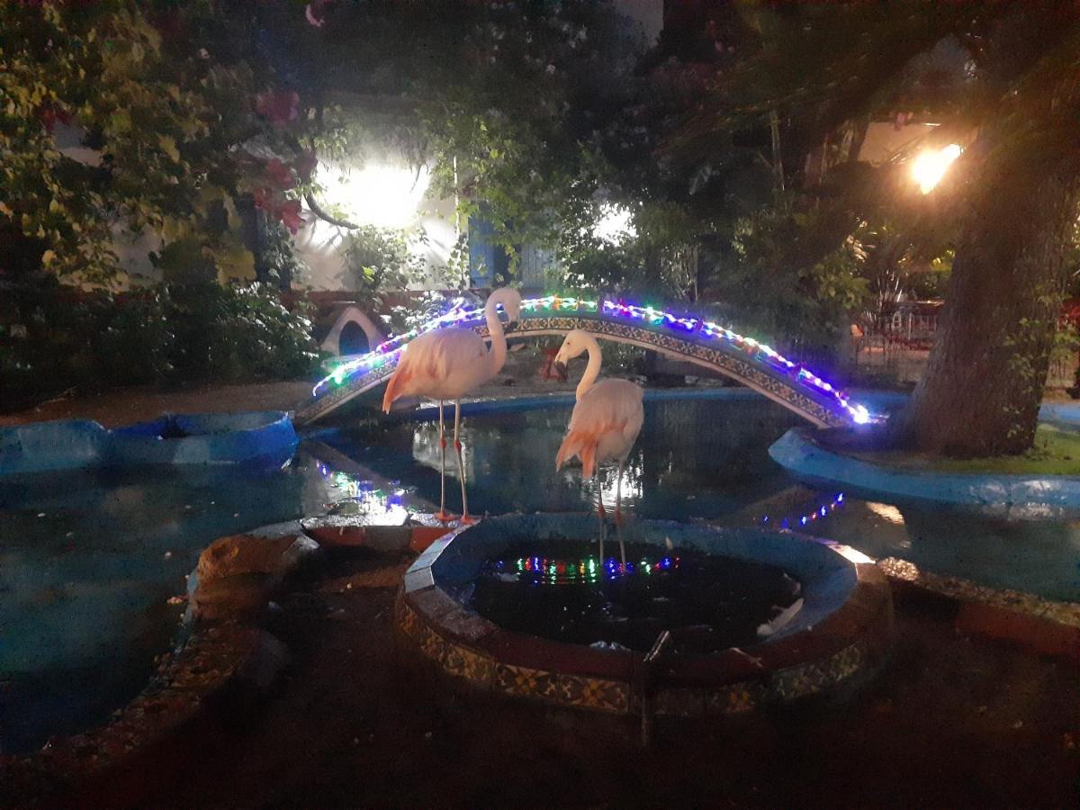 La Posada Del Sol Villa Gesell Buitenkant foto
