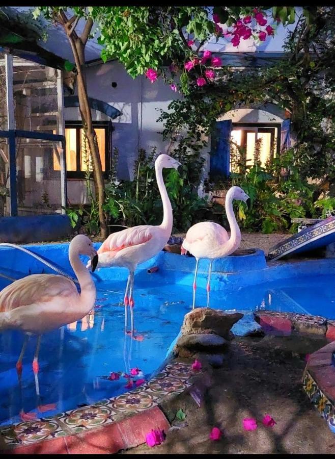 La Posada Del Sol Villa Gesell Buitenkant foto